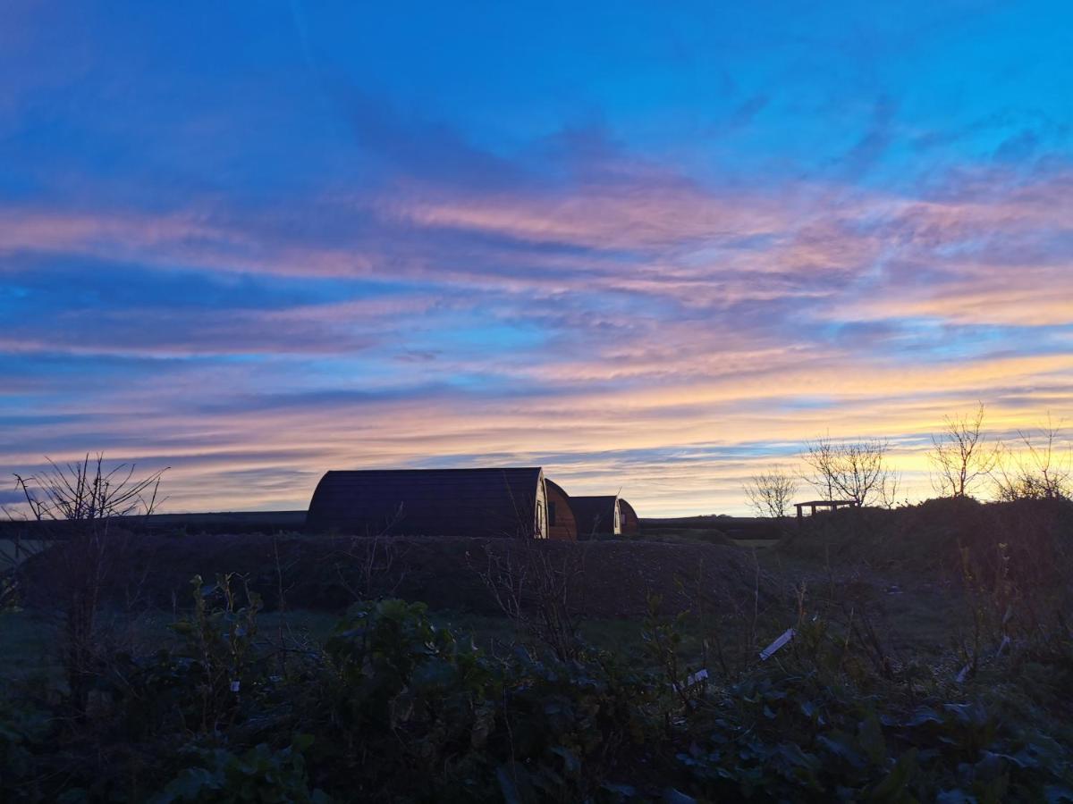 Willa Glamping Pods Nr Port Isaac Zewnętrze zdjęcie